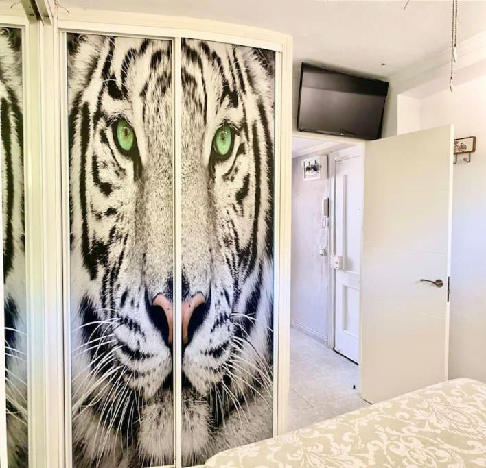 Apartamento Linda Διαμέρισμα Τορρεμολίνος Εξωτερικό φωτογραφία
